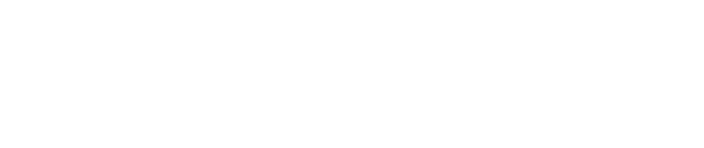 FULL OPTONAL